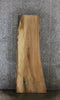 Thumbnail for Rustic Elm Live Edge Wood Slab, Desk Top/Bar Top Slab 39022