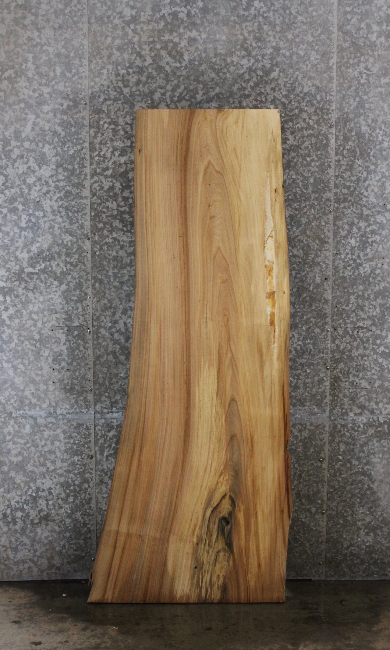 Rustic Elm Live Edge Wood Slab, Desk Top/Bar Top Slab 39022