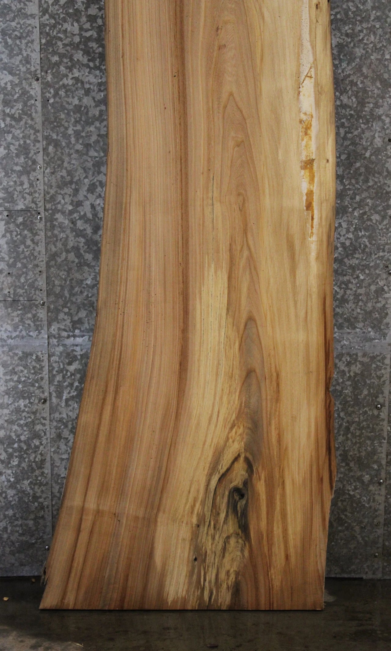 Rustic Elm Live Edge Wood Slab, Desk Top/Bar Top Slab 39022