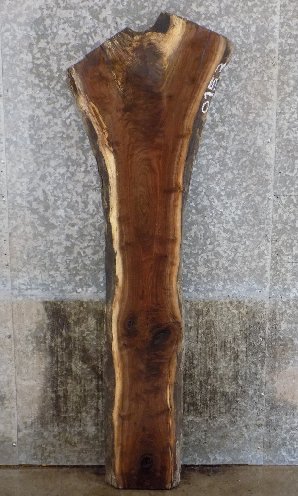 Natural Edge Rustic Black Walnut Sofa/Accent Table Top Slab 39027