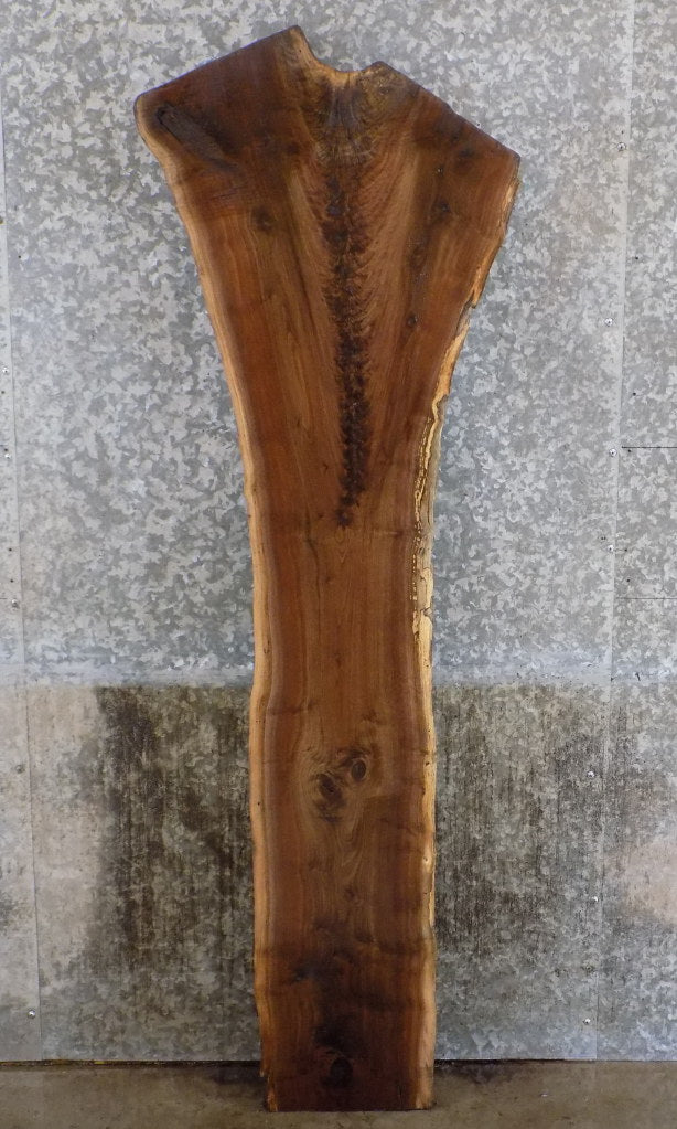 Natural Edge Rustic Black Walnut Sofa/Accent Table Top Slab 39027