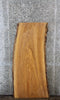 Thumbnail for Live Edge Ash Office/Console Desk Top Slab 39031