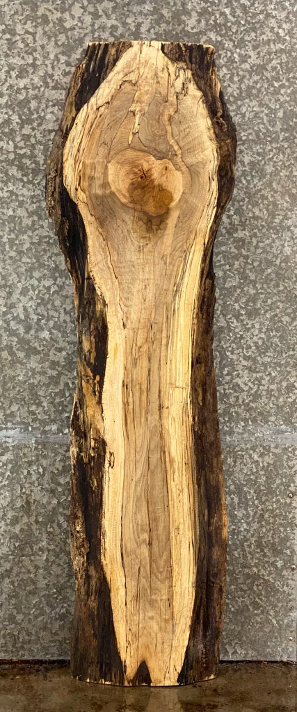Spalted Maple Coffee Table Top/Bar Top Wood Slab CLOSEOUT 39037