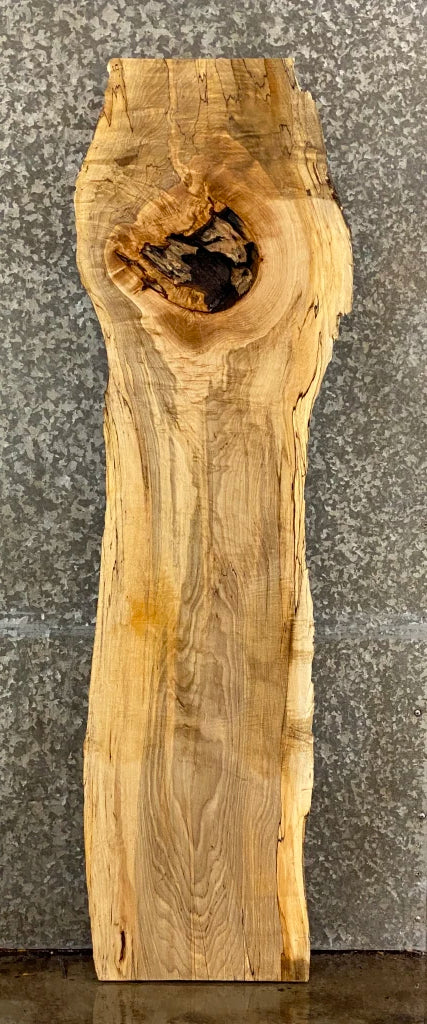 Spalted Maple Coffee Table Top/Bar Top Wood Slab CLOSEOUT 39037