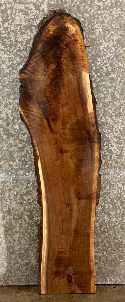 Partial Bark Live Edge Black Walnut Entry Table/Bar Top Slab 39049