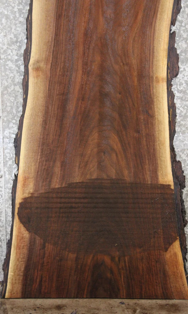 Live Edge Black Walnut Bar Top Slab, Rustic Bark 39053