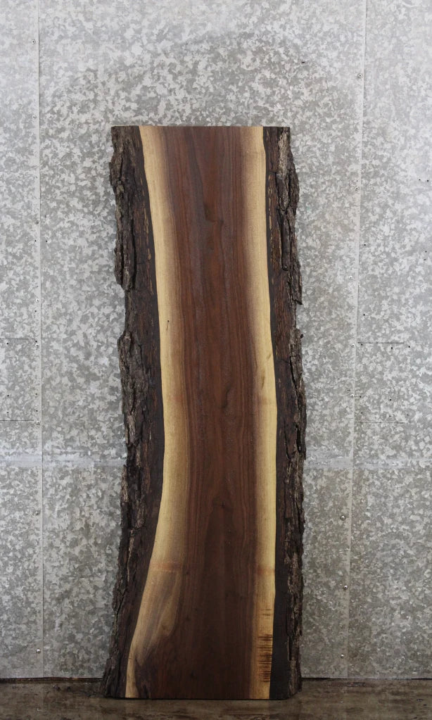 Live Edge Black Walnut Bar Top Slab, Rustic Bark 39054