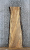 Thumbnail for Spalted Maple Live Edge Bench/Shelf Slab 39058