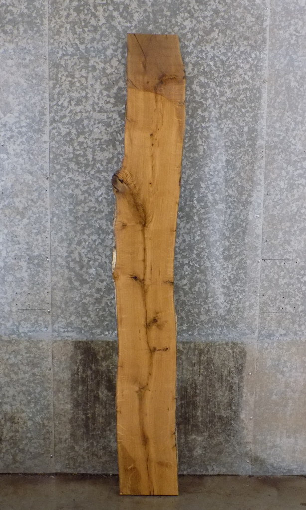 Natural Edge Rustic White Oak Sofa Table/Bar Top Wood Slab 39060