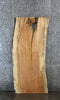 Thumbnail for Spalted Maple Live Edge Bar Top/Desk Slab 39060
