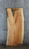 Thumbnail for Spalted Maple Live Edge Bar Top/Desk Slab 39060
