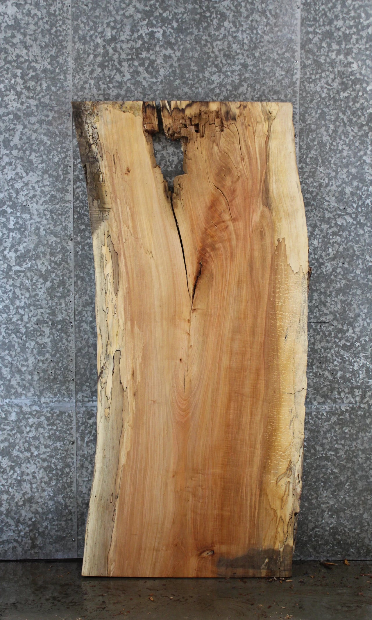 Spalted Maple Live Edge Bar Top/Desk Slab 39060