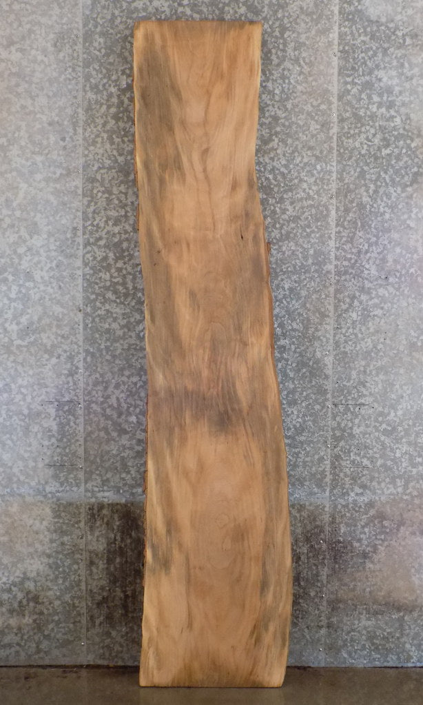 Live Edge Sycamore Bar/Table Top/Headboard Slab CLOSEOUT 39072