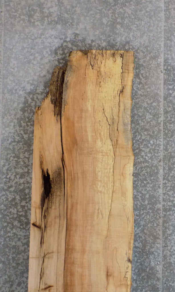 Partial Live Edge Maple Table Top/Headboard Slab CLOSEOUT 39106