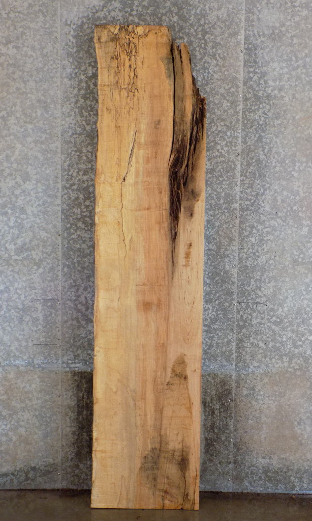 Partial Live Edge Maple Table Top/Headboard Slab CLOSEOUT 39106