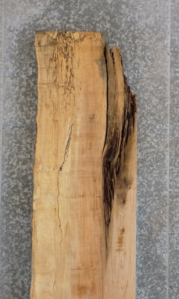 Partial Live Edge Maple Table Top/Headboard Slab CLOSEOUT 39106