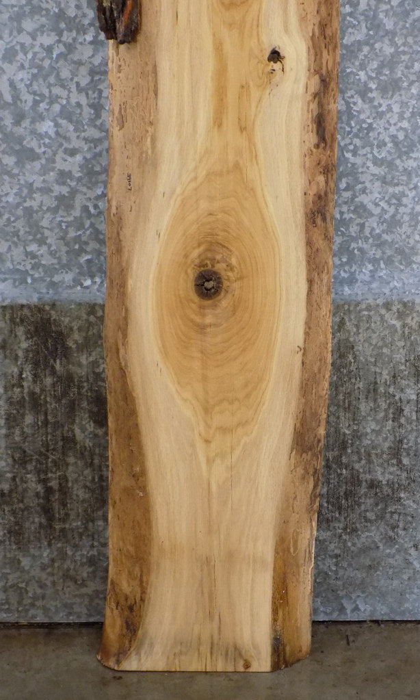 Natural Edge Salvaged White Oak Sofa Table Top Slab CLOSEOUT 39107