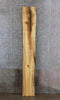 Thumbnail for Live Edge Boxelder Sofa/Accent Table Top Wood Slab CLOSEOUT 39121