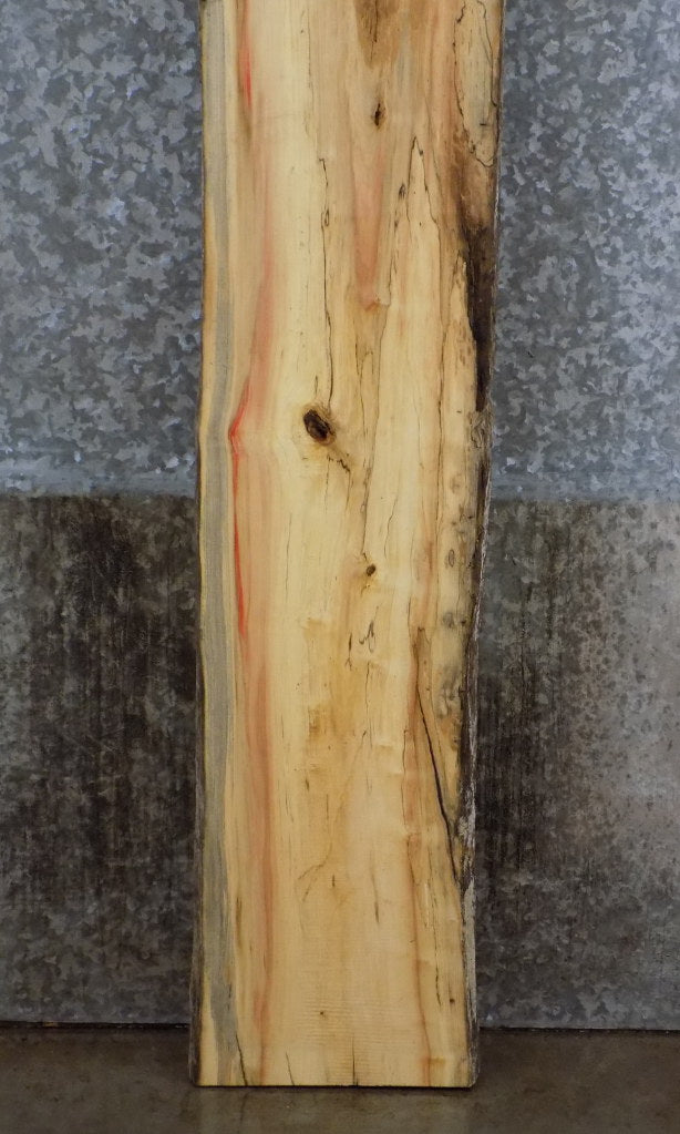 Live Edge Boxelder Sofa/Accent Table Top Wood Slab CLOSEOUT 39121