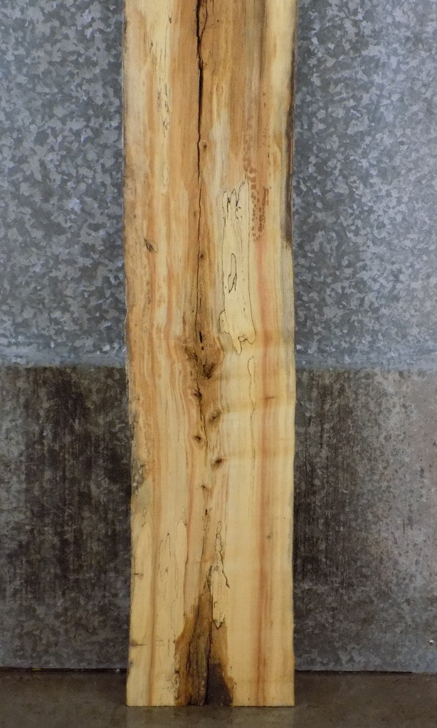 Live Edge Boxelder Sofa/Accent Table Top Wood Slab CLOSEOUT 39121