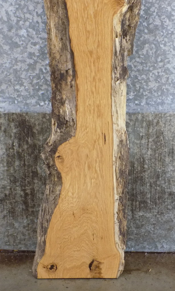 Natural Edge White Oak Sofa/Accent Table Top Slab CLOSEOUT 39123