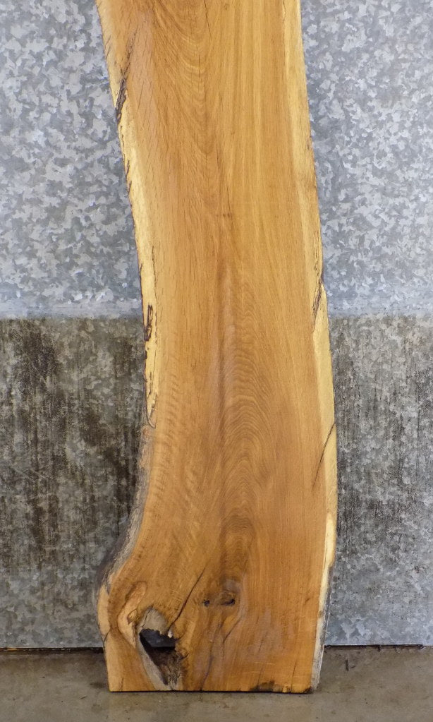 White Oak Natural Edge Bar/Sofa Table Top Slab CLOSEOUT 39125
