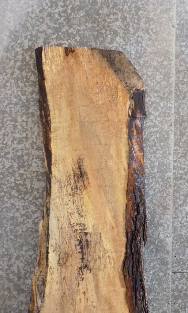 Live Edge Bark Spalted Maple Table Top Wood Slab 39126