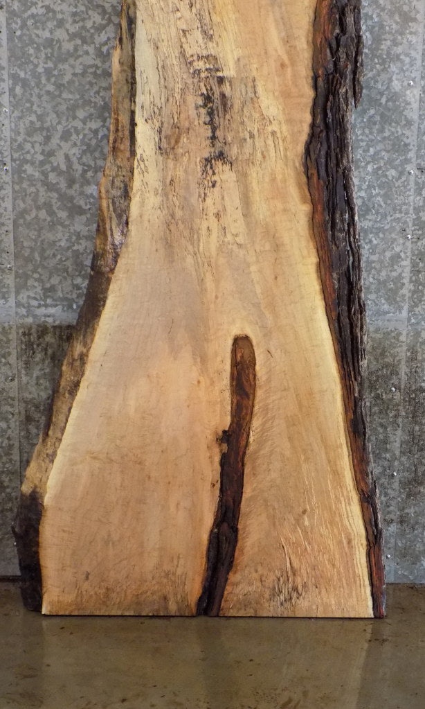 Live Edge Bark Spalted Maple Table Top Wood Slab 39126
