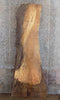Thumbnail for Live Edge Bark Spalted Maple Table Top Wood Slab 39126