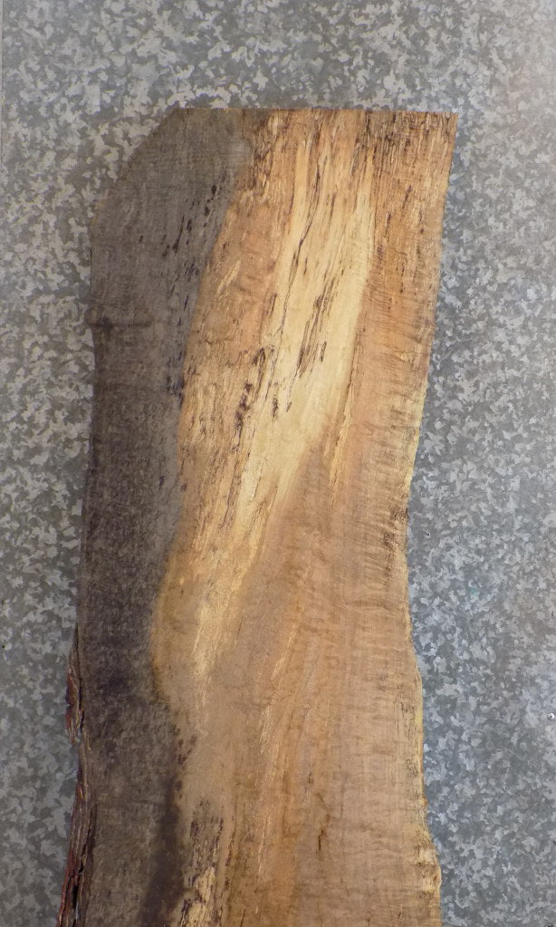 Live Edge Bark Spalted Maple Table Top Wood Slab 39126