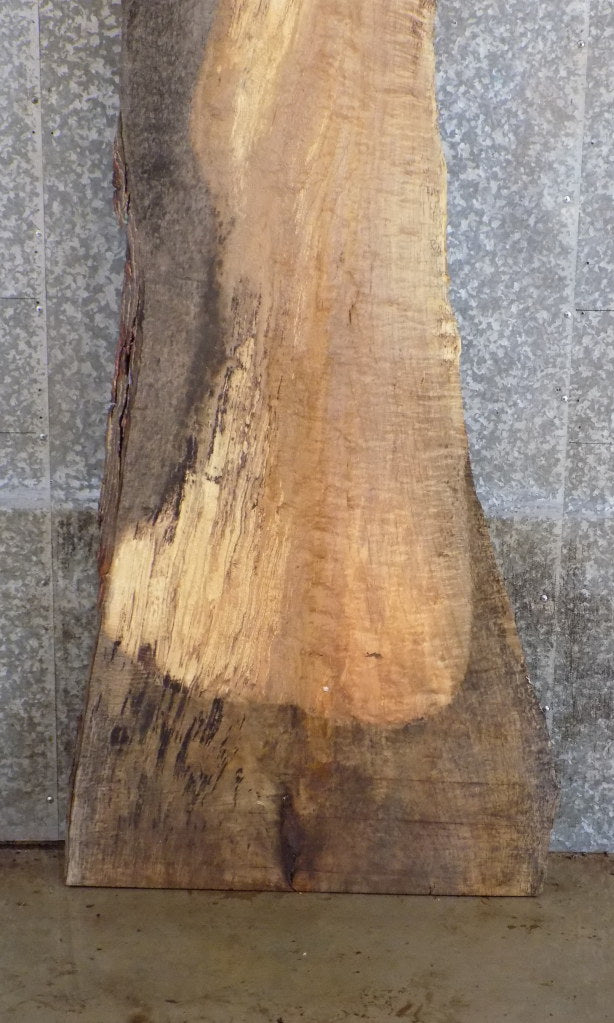 Live Edge Bark Spalted Maple Table Top Wood Slab 39126