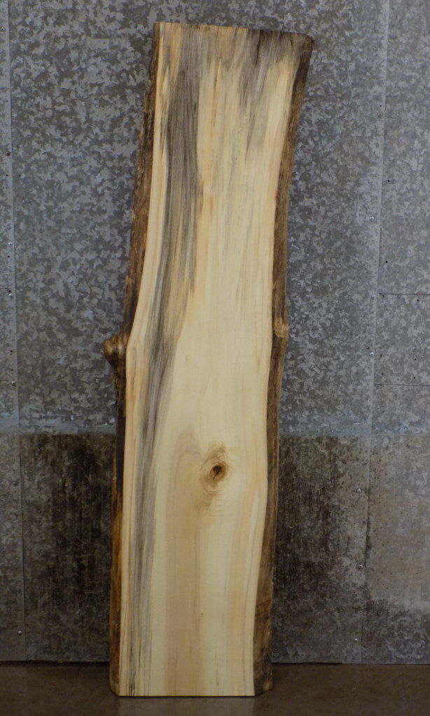 Natural Edge Cottonwood Office Desk/Table Top Slab CLOSEOUT 39135