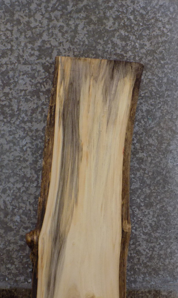 Natural Edge Cottonwood Office Desk/Table Top Slab CLOSEOUT 39135