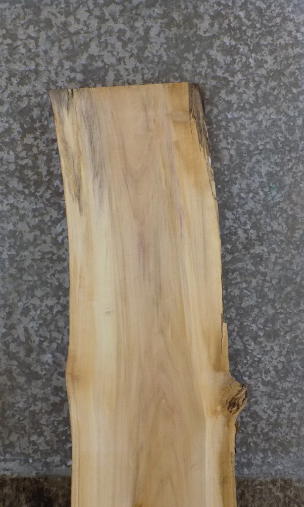 Natural Edge Cottonwood Office Desk/Table Top Slab CLOSEOUT 39135