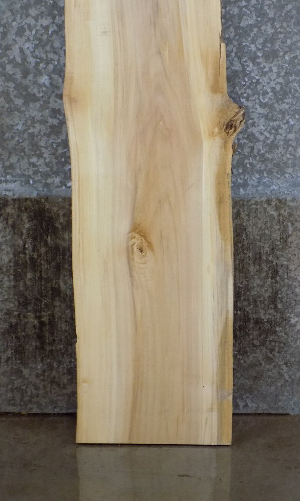 Natural Edge Cottonwood Office Desk/Table Top Slab CLOSEOUT 39135