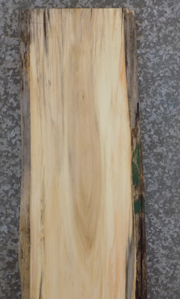 Natural Edge Cottonwood Office Desk/Table Top Slab CLOSEOUT 39150