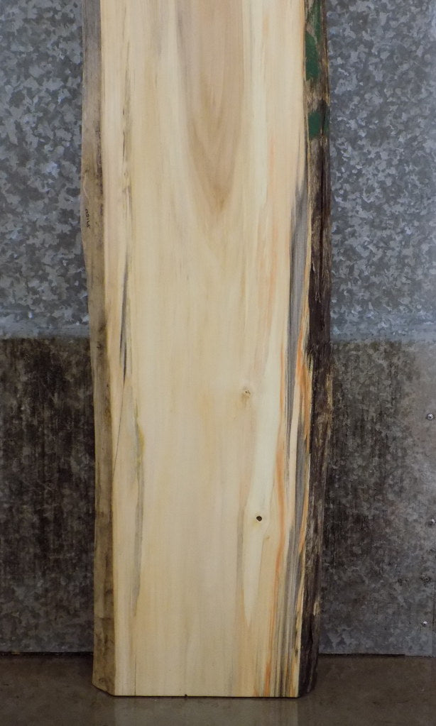 Natural Edge Cottonwood Office Desk/Table Top Slab CLOSEOUT 39150