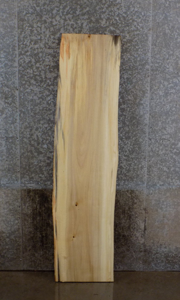 Natural Edge Cottonwood Office Desk/Table Top Slab CLOSEOUT 39150
