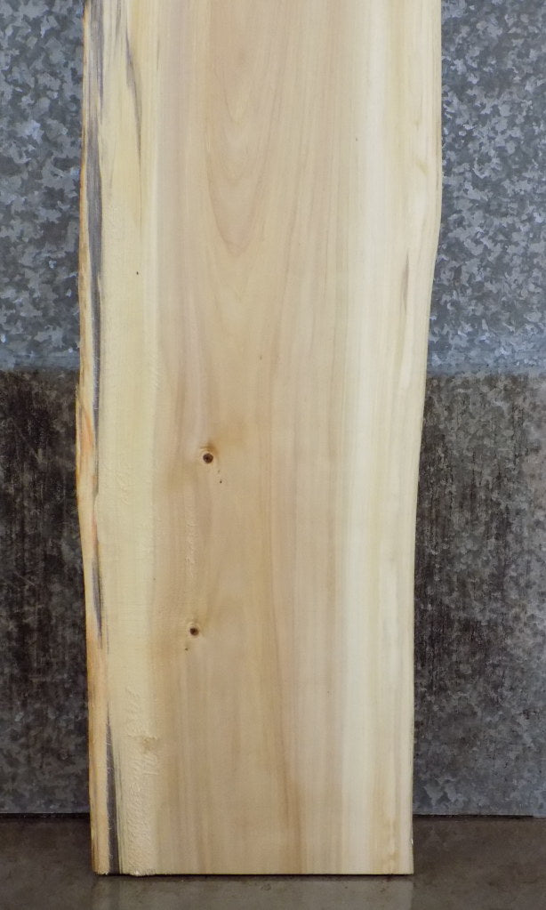Natural Edge Cottonwood Office Desk/Table Top Slab CLOSEOUT 39150