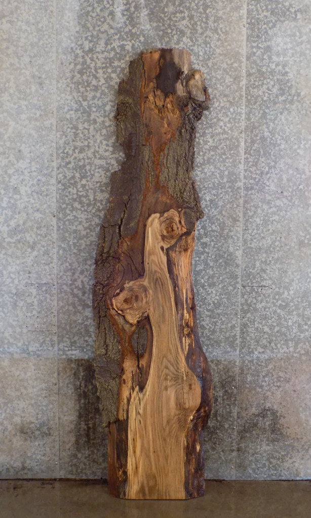 Live Edge Salvaged Red Oak Cocktail Table Top Slab CLOSEOUT 39152