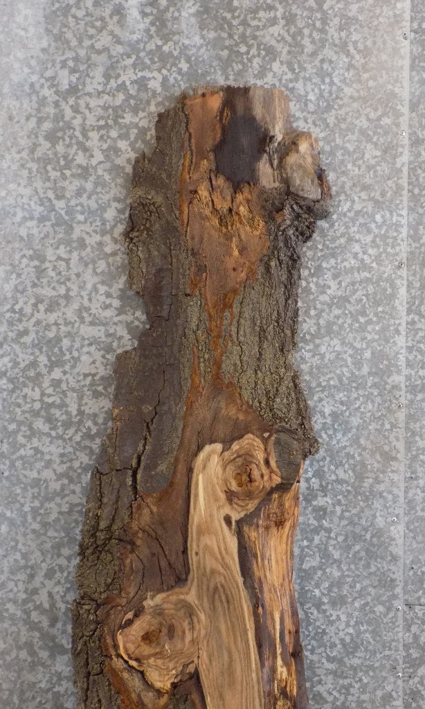 Live Edge Salvaged Red Oak Cocktail Table Top Slab CLOSEOUT 39152