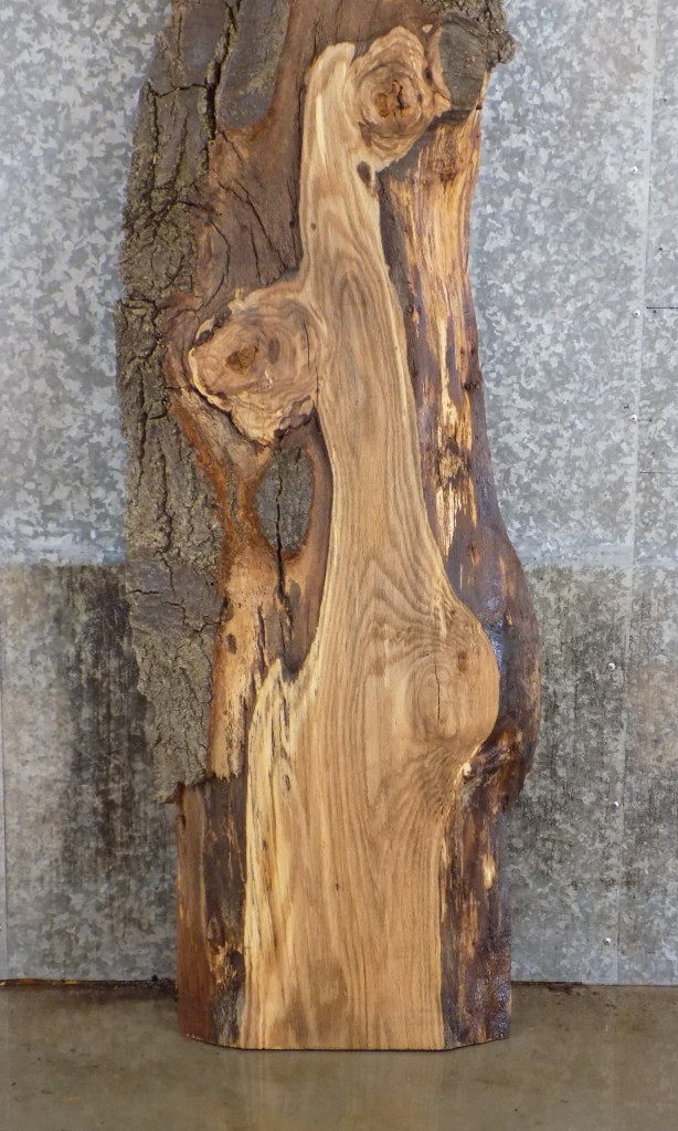 Live Edge Salvaged Red Oak Cocktail Table Top Slab CLOSEOUT 39152