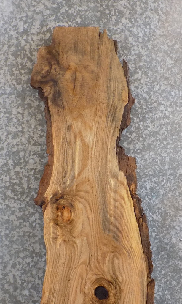 Live Edge Salvaged Red Oak Cocktail Table Top Slab CLOSEOUT 39152