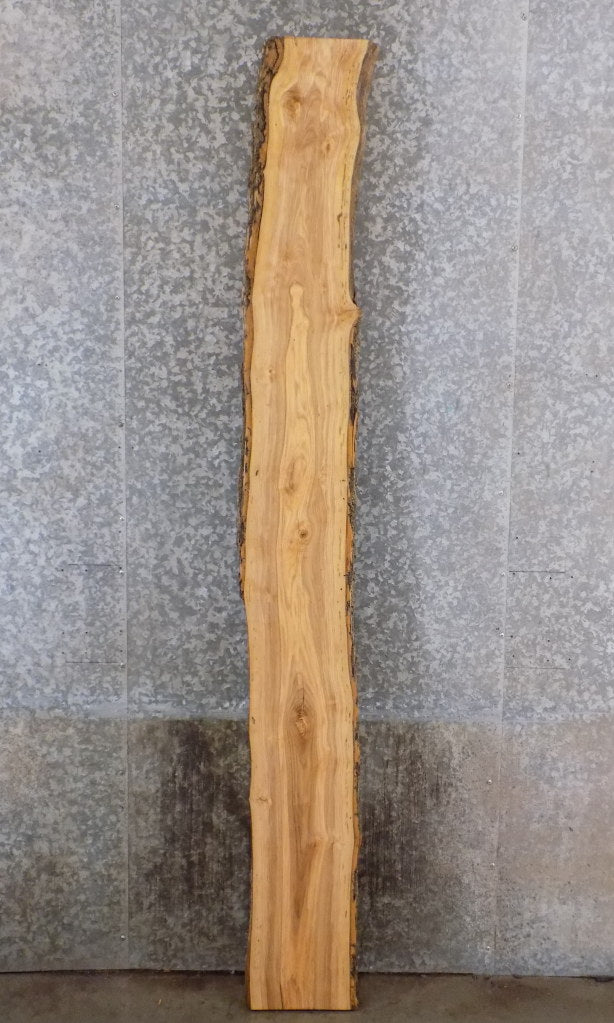 Ash Live Edge Bark Accent/Sofa Table/Bar Top Slab CLOSEOUT 39154