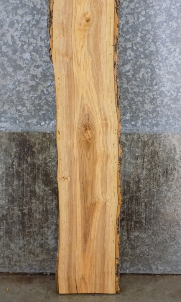 Ash Live Edge Bark Accent/Sofa Table/Bar Top Slab CLOSEOUT 39154