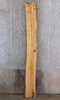Thumbnail for Ash Live Edge Bark Accent/Sofa Table/Bar Top Slab CLOSEOUT 39154