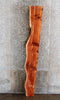 Thumbnail for Live Edge Thick Cut Cedar Mantel Slab 39188