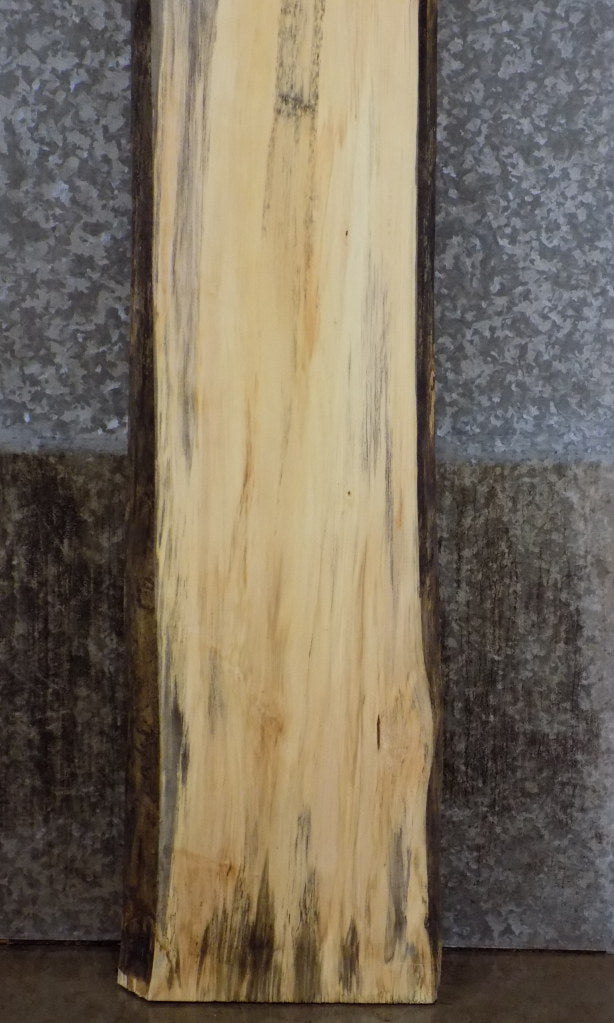 Live Edge Cottonwood Cocktail Table/Bar Top Slab CLOSEOUT 39201