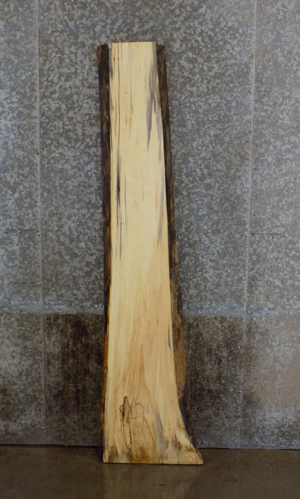 Live Edge Cottonwood Bar/Cocktail Table Top Slab CLOSEOUT 39215