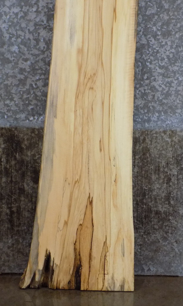 Live Edge Cottonwood Bar/Cocktail Table Top Slab CLOSEOUT 39215